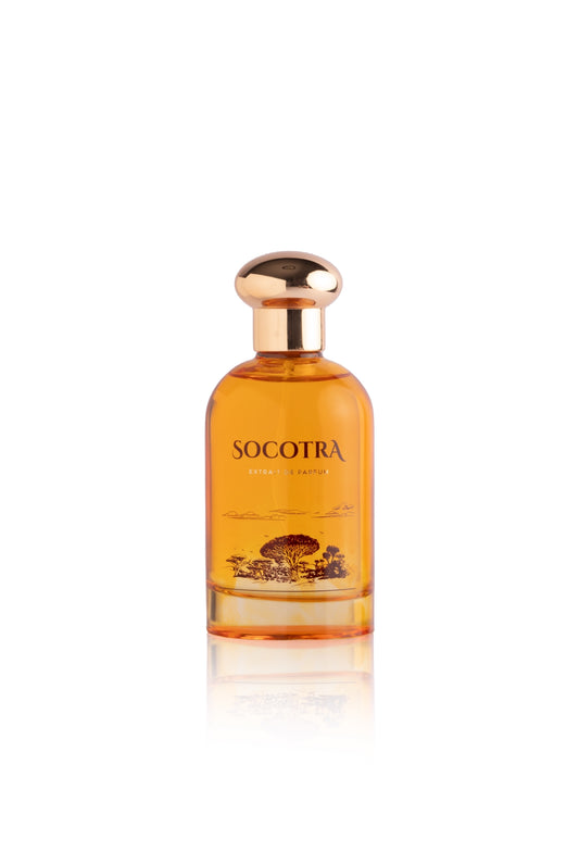 Socotra | Extrait de parfum (100ml)